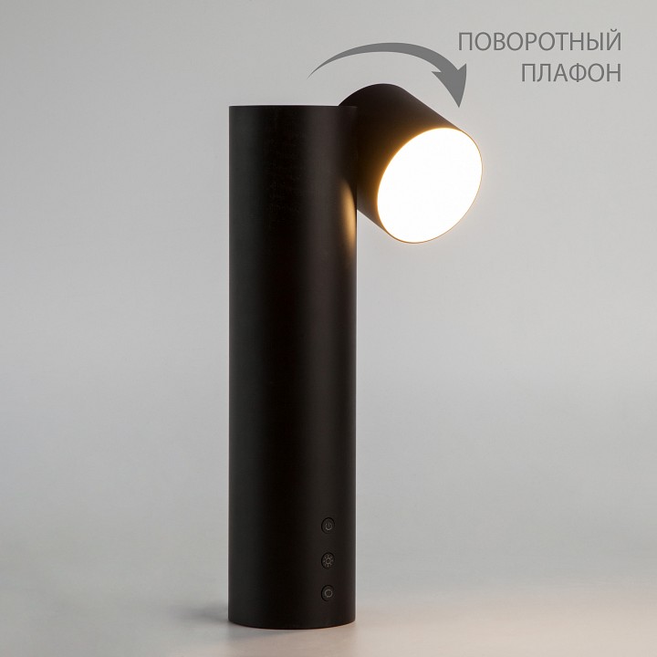 Настольная лампа Eurosvet Premier 80425/1 черный фото